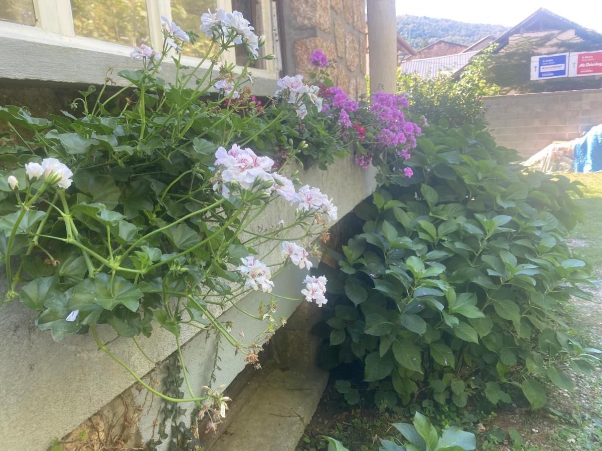 Chalet Tout Confort Proche D Ax 3 Domaines Vebre 外观 照片